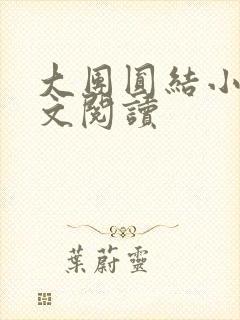 大团圆结小茹全文阅读