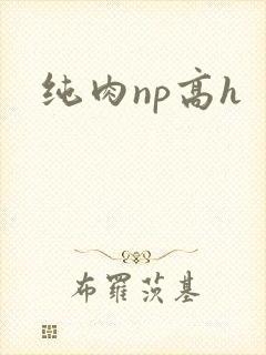 纯肉np高h