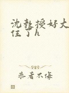 沈教授好大含不住了h
