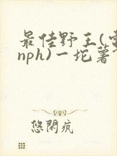 最佳野王(电竞nph)一坨薯饼