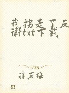 我拐走了反派影卫txt下载