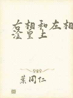 右相和左相一起淦皇上