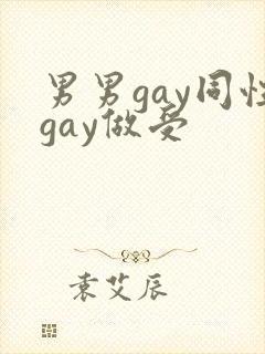 男男gay同性gay做受