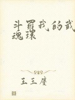斗罗我的武魂是魂环
