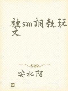 被sm调教玩弄文