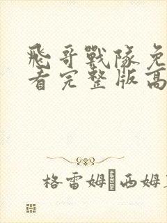 飞哥战队免费观看完整版高清封面