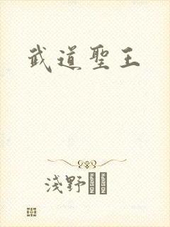 武道圣王