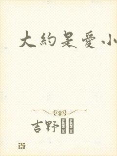大约是爱小说封面