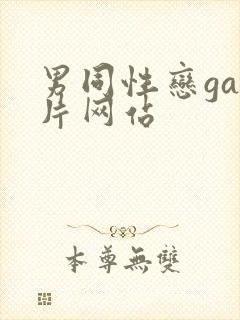 男同性恋gay片网站
