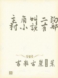 主角叫二狗的乡村小说有哪些封面