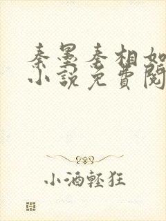 秦墨秦相如穿越小说免费阅读封面