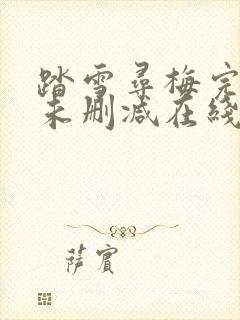 踏雪寻梅完整版未删减在线免费观看