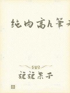 纯肉高h笔趣阁