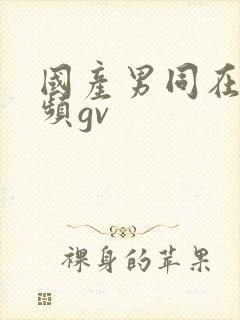 国产男同在线视频gv