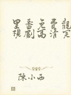 里番免费观看电视剧高清完整版动漫封面