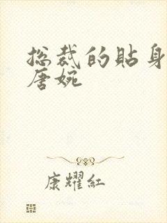 总裁的贴身秘书唐婉封面