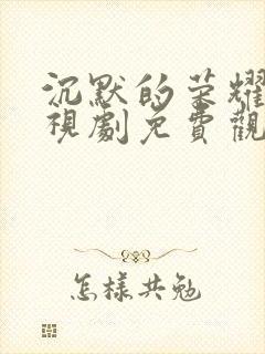 沉默的荣耀 电视剧免费观看全集