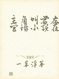 主角叫君左漫的官场小说在线阅读