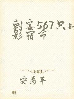 刺客567只暗影宿命