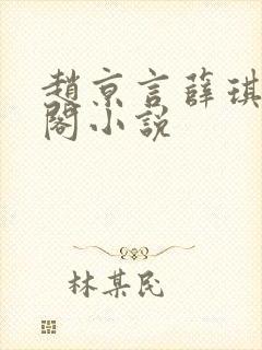 赵京言薛琪笔趣阁小说