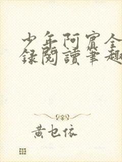 少年阿宾全文目录阅读笔趣阁