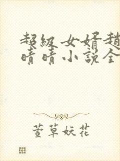 超级女婿赵旭李晴晴小说全文免费阅读无弹窗