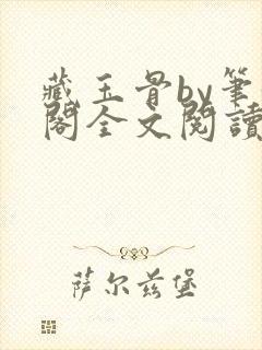 藏玉骨by笔趣阁全文阅读封面