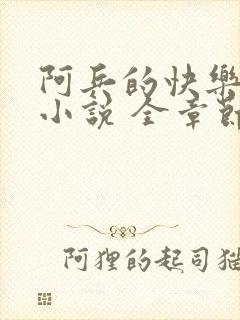 阿兵的快乐生活小说 全章节阅读免费