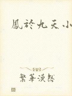 凤于九天小说封面
