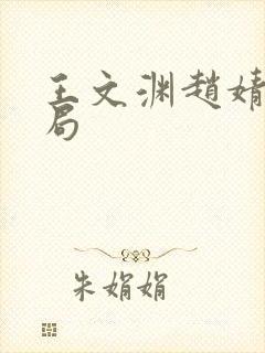 王文渊赵婧大结局