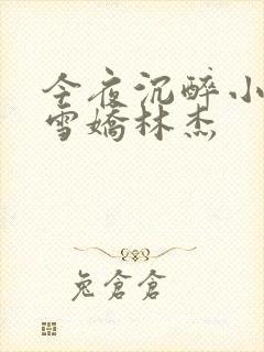 今夜沉醉小说段雪娇林杰