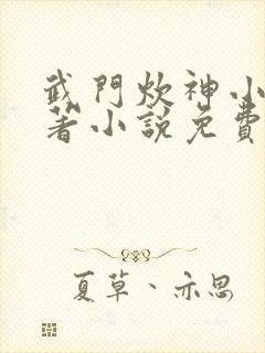 武门炊神小说原著小说免费阅读
