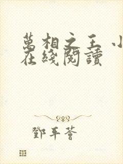 万相之王 小说在线阅读封面