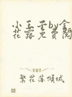 小王子by金银花露免费阅读笔趣阁