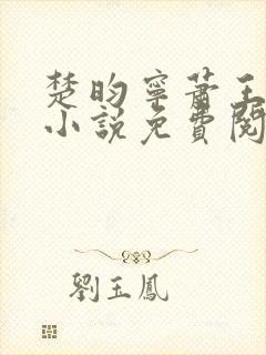 楚昀宁萧王穿越小说免费阅读无弹窗