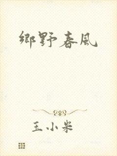 乡野春风封面