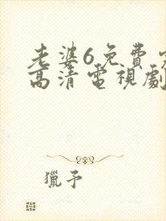 老婆6免费完整高清电视剧