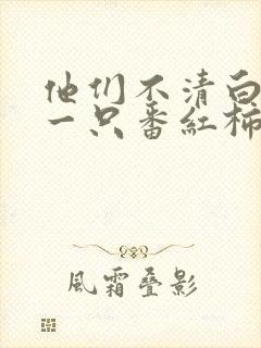 他们不清白by一只番红柿笔趣阁免费阅