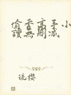 偷香高手小说阅读无删减封面