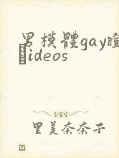 男模体gay瞪鉽ideos封面