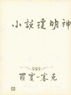 小说琼明神女录封面