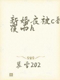 新婚夜被c翻云覆雨h封面
