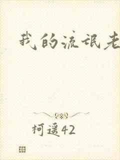 我的流氓老师封面