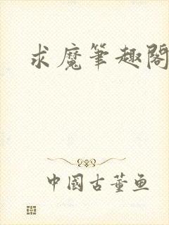 求魔笔趣阁封面