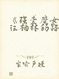 《强袭魔女:通往柏林的路》