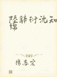 陆辞衍沈知语宋绵