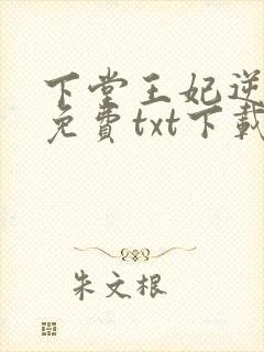 下堂王妃逆袭记免费txt下载