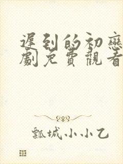 迟到的初恋电视剧免费观看封面