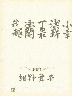 我凄丁洁小说笔趣阁最新章节更新时封面