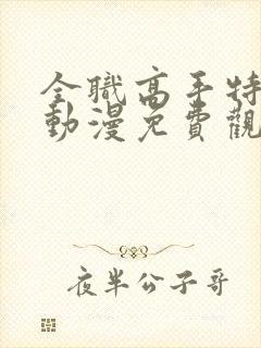 全职高手特别篇动漫免费观看